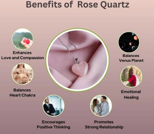 Screenshot_20250825_234455_WhatsAppBusiness