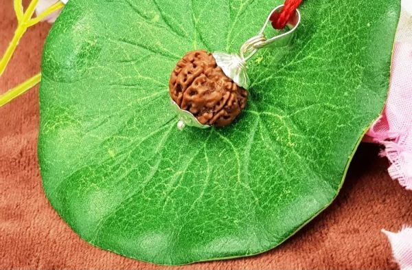 Screenshot_20250826_000303_Chrome