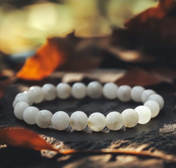 WhatsApp Image 2025-08-17 at 10.33.40 AM (1)